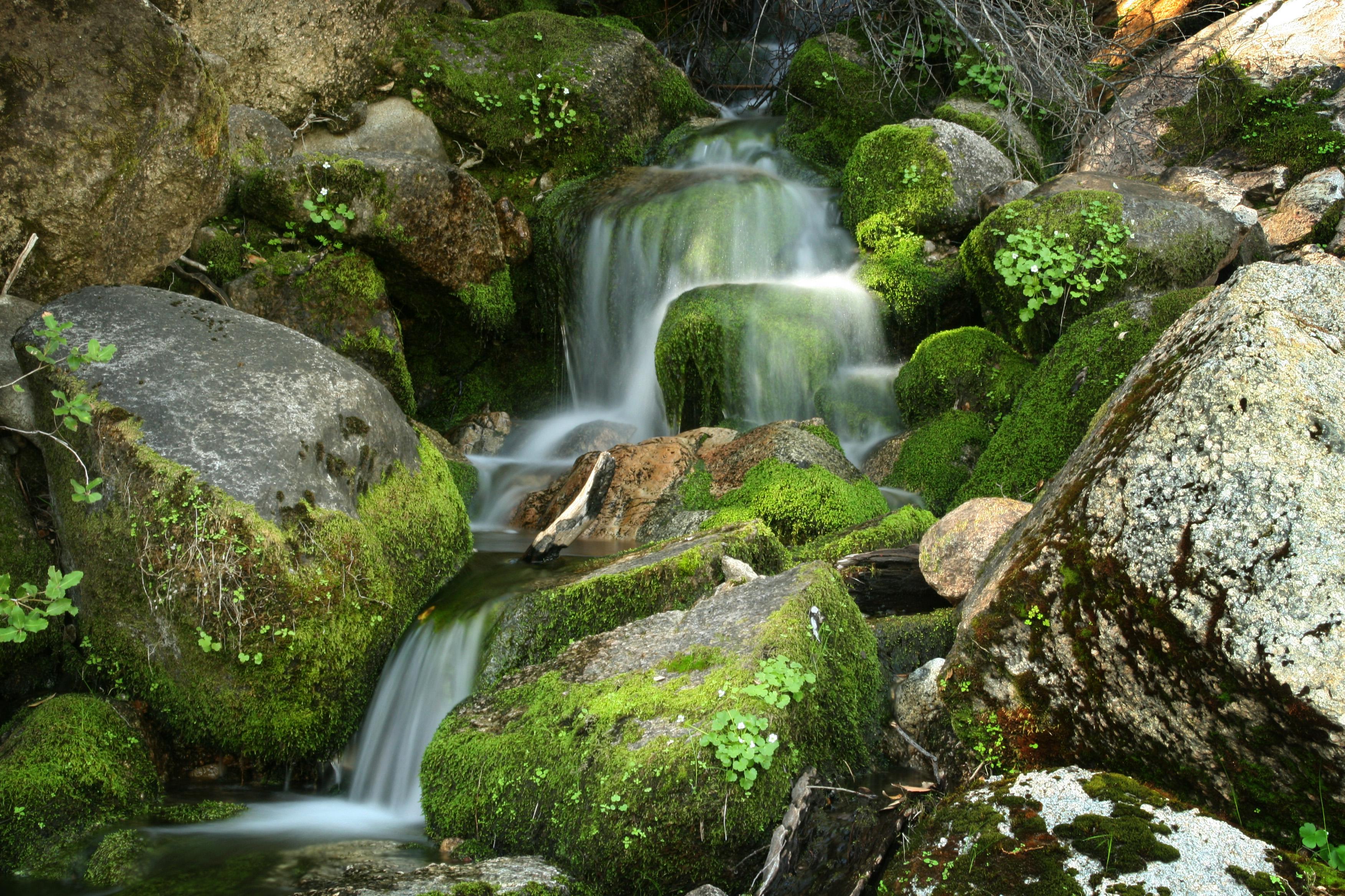 A misty waterfall over rounded, mossy boulders. at Tiltill Creek on the path to Rancheria Falls at Hetch Hetchy Reservoir located inside Yosemite National Park. Sierra Nevada, California.