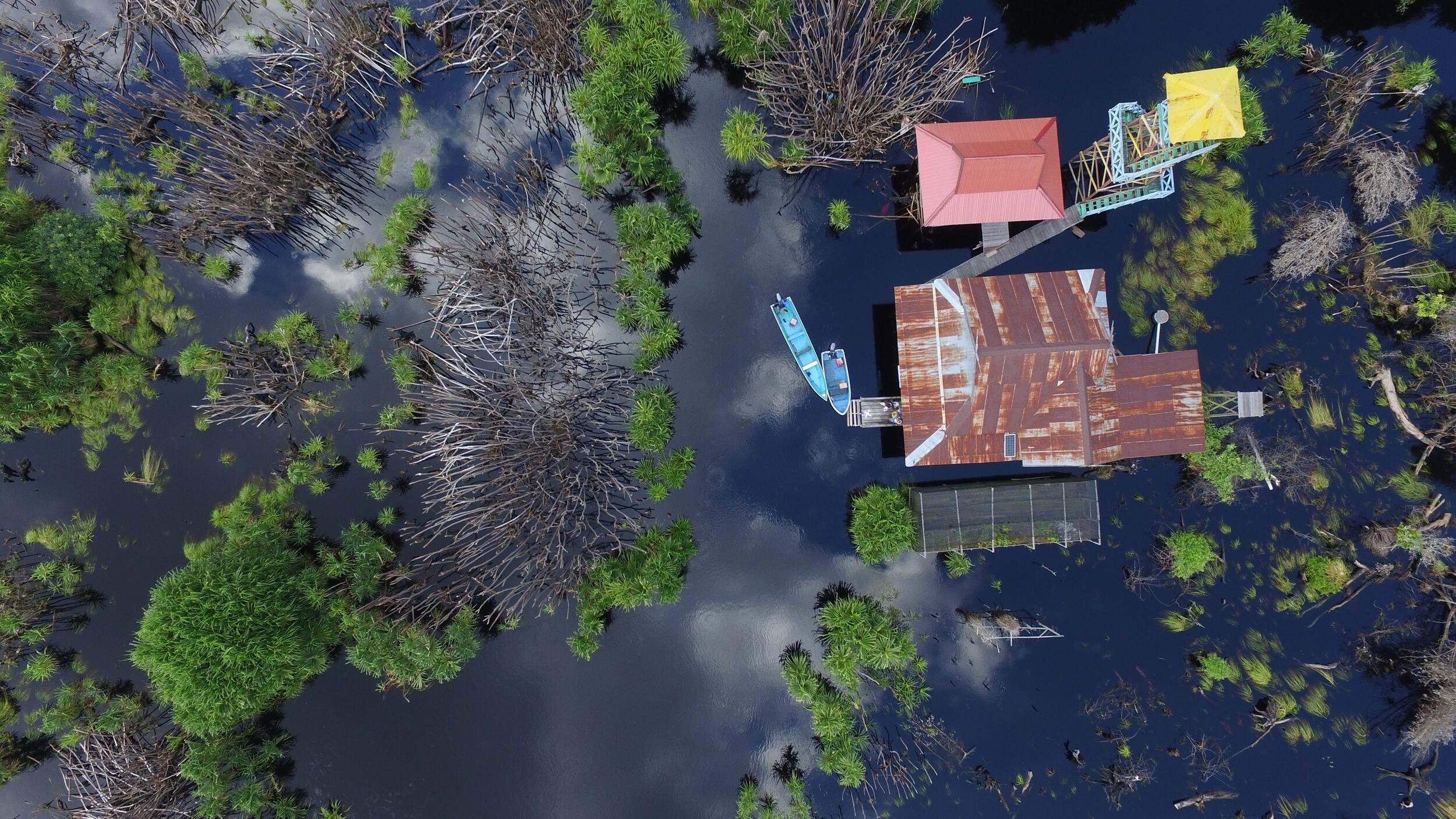 Aerial view of peatlands on the Koran River, Indonesia.