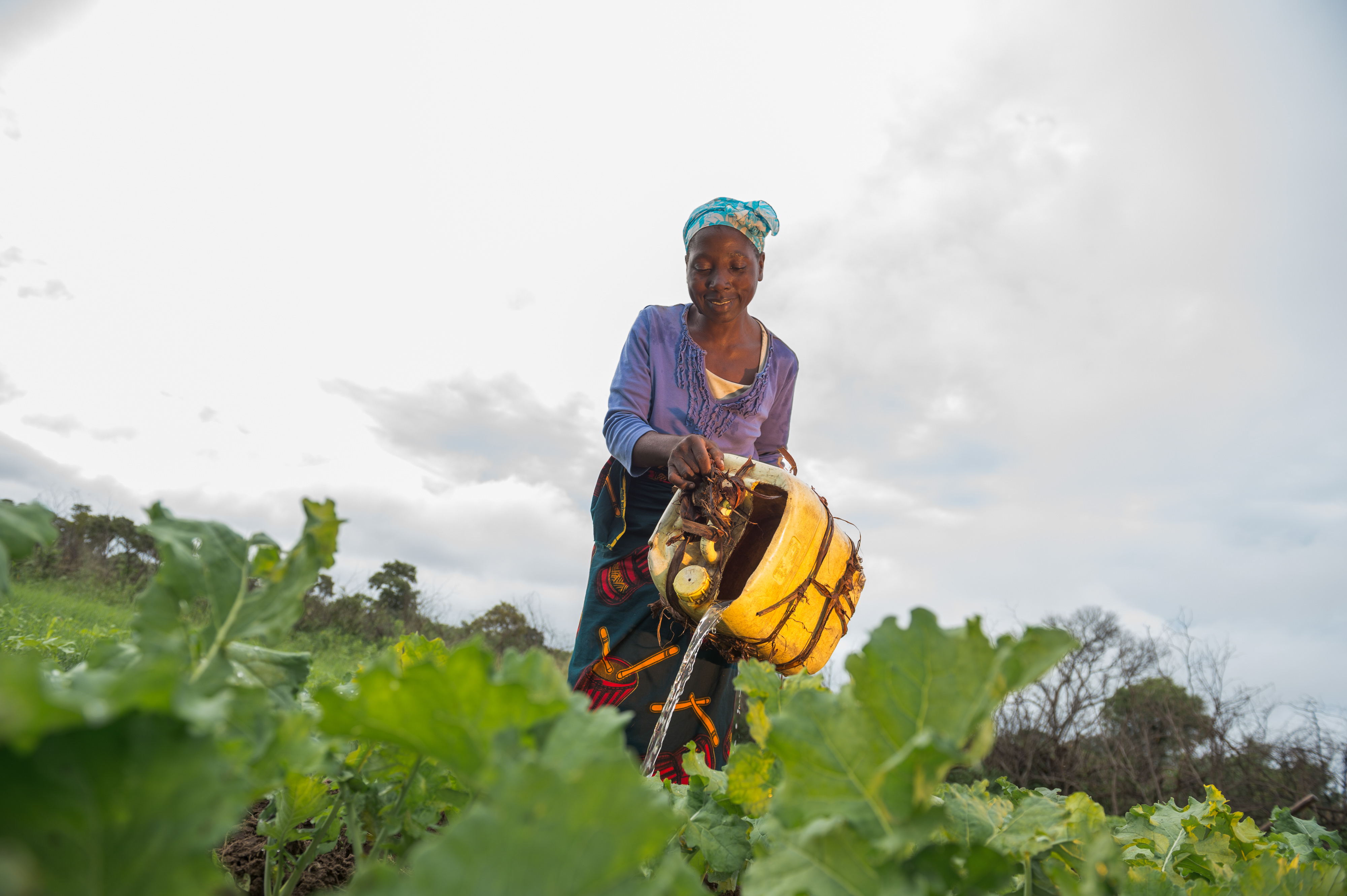 A woman waters her farm from a yellow jerry can.