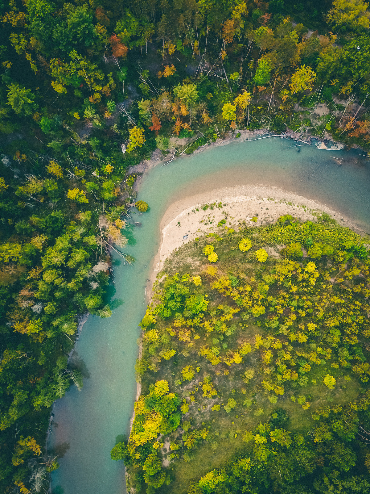 Aerial view of a forest in various shades of green with a blue river snaking from the left to center to right side of the photo.